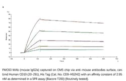 ACROBiosystems Recombinant Protein;Human CD19 (20-291) Protein, His Tag;HEK293;500UG;CD9,CD19,CD-19,B4,B-4,CVID3,CVID-3,MGC12802,