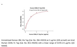 ACROBiosystems Recombinant Protein;Human CD48 / SLAMF2 Protein, Fc Tag;HEK293;1MG;BC1,CD48,BCM1,SLAMF2,BLAST,BLAST1,MEM-102,TCT.1,BCM-1,SLAMF-2,BLAST-1,