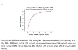 ACROBiosystems Recombinant Protein;Biotinylated Human 2B4 / CD244 / SLAMF4