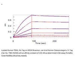 ACROBiosystems Recombinant Protein;Human Osteoprotegerin / TNFRSF11B Protein,