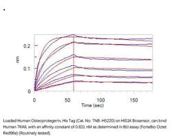 ACROBiosystems Recombinant Protein;Human Osteoprotegerin / TNFRSF11B Protein;HEK293;100UG;TNB,TNFRSF11B,OCIF,OPG,Osteoprotegerin,