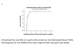 ACROBiosystems Recombinant Protein;Biotinylated Mouse FOLR1 Protein, Avi