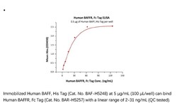 ACROBiosystems Recombinant Protein;Human BAFFR / TNFRSF13C Protein, Fc