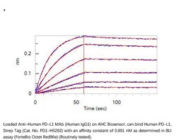 ACROBiosystems Recombinant Protein;Human PD-L1 / B7-H1 Protein, Strep Tag;HEK293;250UG;PD1,PDL1,PD-L1,CD274,B7-H1,B7H1,B7-H,B7H,PDCD1L1,PDCD1LG1,