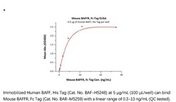 ACROBiosystems Recombinant Protein;Mouse BAFFR / TNFRSF13C Protein, Fc
