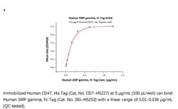 ACROBiosystems Recombinant Protein;Human SIRP gamma / CD172g Protein, Fc