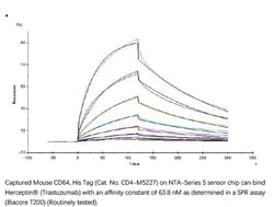 ACROBiosystems Recombinant Protein;Mouse Fc gamma RI / CD64 Protein;HEK293;1MG;CD4,FCGR1A,FCG1,FCGR1,IGFR1,CD64,CD64A,FCRI,FCGR-1,IGFR-1,Fcr,Fcgr,Fc