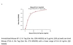 ACROBiosystems Recombinant Protein;Mouse B7-2 / CD86 Protein, Fc Tag;HEK293;1MG;CD6,CD86,CD-86,B7-2,B70,B-70,CD28LG2,LAB72,LAB-72,MGC34413,
