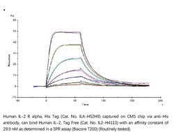 ACROBiosystems Recombinant Protein;Human IL-2 R alpha / CD25 Protein;HEK293;1MG;ILA,IL2RA,CD25,p55,IL2-RA,IL-2-RA,IL-2