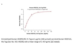 ACROBiosystems Recombinant Protein;Human VEGF121 Protein, His Tag;HEK293;1MG;VE1,RP1-261G23.1,MGC70609,MVCD1,MVCD-1,VEGF