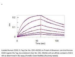 ACROBiosystems Recombinant Protein;Human CD30 / TNFRSF8 Protein, Fc Tag;HEK293;100UG;CD0,TNFRSF8,CD30,TNFRSF-8,D1S166E,Ki-1,