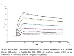ACROBiosystems Recombinant Protein;Human CD3 epsilon Protein;HEK293;1MG;CDE,FLJ18683,T3E,TCRE,CD3E,CD3-epsilon,CD3