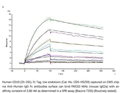 ACROBiosystems Recombinant Protein;Human CD19 (20-291) Protein, Fc Tag,
