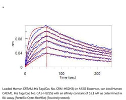 ACROBiosystems Recombinant Protein;Human CADM1 / IGSF4A Protein;HEK293;100UG;CA1,CADM1,CADM-1,BL2,IGSF4,IGSF-4,IGSF4A,NECL2,Necl-2,RA175,ST17,SYNCAM,TSLC1,sTSLC-1,sgIGSF,synCAM1,DKFZp686F1789,MGC149785,MGC518800,