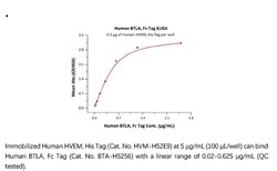 ACROBiosystems Recombinant Protein;Human BTLA (31-150) Protein, Fc Tag;HEK293;100UG;BTA,BTLA,CD272,