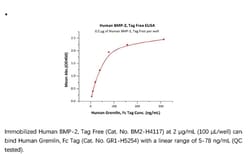 ACROBiosystems Recombinant Protein;Human BMP-2 Protein, Tag Free;E.coli;20UG;BM2,BMP2,BMP-2,BMP2A,BMP-2A,