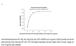 ACROBiosystems Recombinant Protein;Human B7-H3 / CD276 Protein;HEK293;100UG;B73,B7-H3,CD276,B7