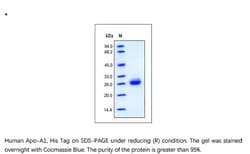 ACROBiosystems Recombinant Protein;Human Apo-A1 Protein;HEK293;50UG;AP1,Apolipoprotein