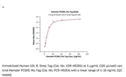 ACROBiosystems Recombinant Protein;Hamster PCSK9 Protein;HEK293;50UG;PC9,PCSK9,PCSK-9,FH3,HCHOLA3,LDLCQ1,NARC-1,NARC1,PC9,