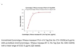 ACROBiosystems Recombinant Protein;Cynomolgus / Rhesus macaque CTLA-4 Protein,