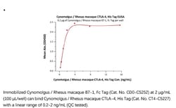 ACROBiosystems Recombinant Protein;Cynomolgus / Rhesus macaque CTLA-4 Protein;HEK293;200UG;CT4,CTLA4,CD152,CELIAC3,CTLA-4,GRD4,GSE,ICOS,IDDM12,