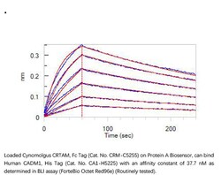 ACROBiosystems Recombinant Protein;Cynomolgus CRTAM Protein, Fc Tag;HEK293;1MG;CRM,CRTAM,CRTA,