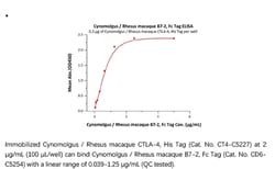 ACROBiosystems Recombinant Protein;Cynomolgus / Rhesus macaque B7-2 / CD86