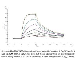 ACROBiosystems Recombinant Protein;Biotinylated Rat FcRn/FCGRT );HEK293;200UG;FCM,FcRN,FCGRT