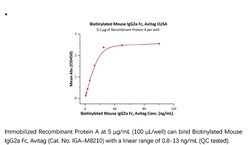 ACROBiosystems Recombinant Protein;Biotinylated Mouse IgG2a Fc, Avi Tag