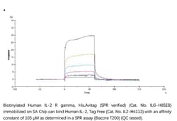 ACROBiosystems ACROBiosystems Biotinylated Human IL-2 R gamma / CD132 Protein,