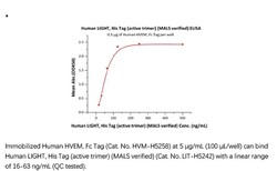 ACROBiosystems ACROBiosystems Human LIGHT / TNFSF14 Protein, His Tag (active
