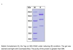 ACROBiosystems ACROBiosystems Rabbit Complement C5 Protein, His Tag, Quantity: