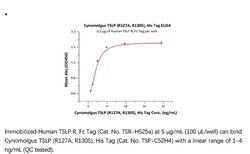 ACROBiosystems ACROBiosystems Cynomolgus TSLP (R127A, R130S) Protein, His