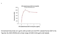 ACROBiosystems ACROBiosystems FITC-Labeled Human EGF R Protein, His Tag,