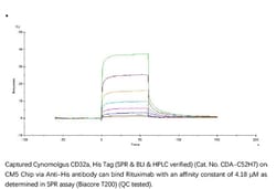 ACROBiosystems ACROBiosystems Cynomolgus Fc gamma RIIA / CD32a Protein,