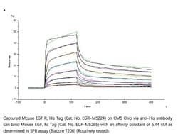 ACROBiosystems ACROBiosystems Mouse EGF R Protein, His Tag, Quantity: Each