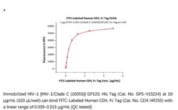 ACROBiosystems ACROBiosystems FITC-Labeled Human CD4 Protein, Fc Tag, Quantity: