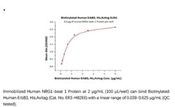 ACROBiosystems ACROBiosystems Biotinylated Human ErbB3 / Her3 Protein,