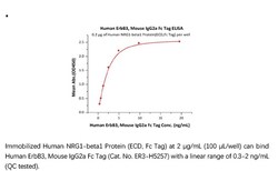 ACROBiosystems ACROBiosystems Human ErbB3 / Her3 Protein, Mouse IgG2a Fc