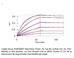 ACROBiosystems ACROBiosystems Mouse FcRn / FCGRT&B2M Heterodimer Protein,