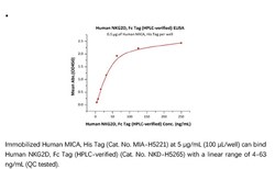 ACROBiosystems ACROBiosystems Human NKG2D / CD314 Protein, Fc Tag (HPLC-verified),