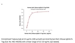 ACROBiosystems ACROBiosystems Human Her2 / ErbB2 Protein, Mouse IgG2a Fc