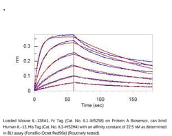 ACROBiosystems ACROBiosystems Human IL-13 Protein, His Tag, Quantity: Each