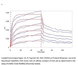 ACROBiosystems ACROBiosystems Cynomolgus Siglec-15 / CD33L3 Protein, Fc