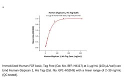 ACROBiosystems ACROBiosystems Human Glypican 1 / GPC1 Protein, His Tag,