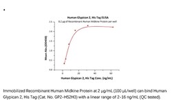 ACROBiosystems ACROBiosystems Human Glypican 2 / GPC2 Protein, His Tag,