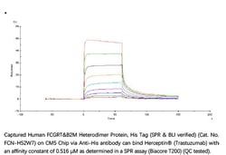 ACROBiosystems ACROBiosystems Human FcRn / FCGRT&B2M Heterodimer Protein,