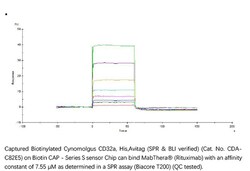 ACROBiosystems ACROBiosystems Biotinylated Cynomolgus Fc gamma RIIA / CD32a