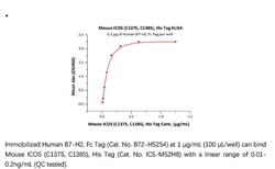 ACROBiosystems ACROBiosystems Mouse ICOS / CD278 (C137S, C138S) Protein,