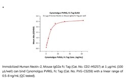 ACROBiosystems Cynomolgus PVRIG Protein, Fc Tag